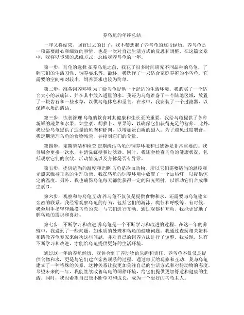 养乌龟的年终总结