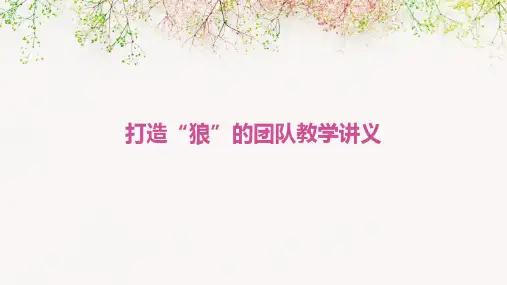 打造“狼”的团队教学讲义