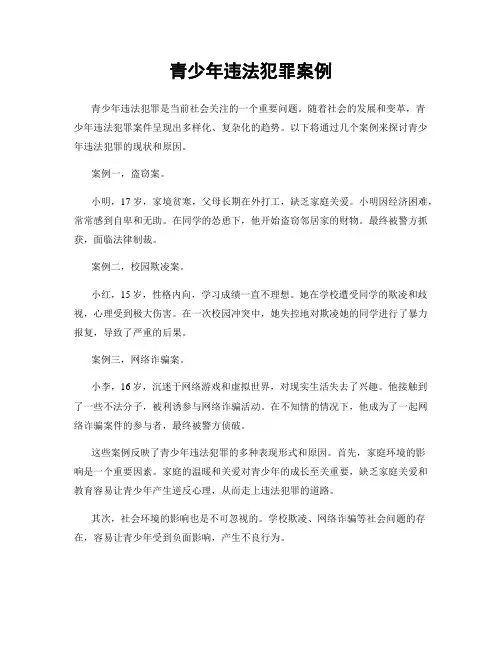 青少年违法犯罪案例