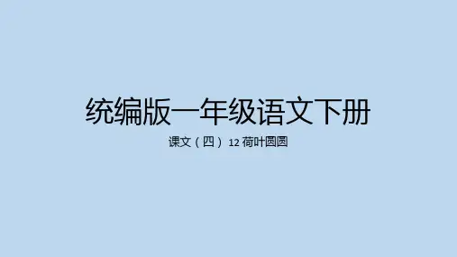 荷叶圆圆 ppt课件