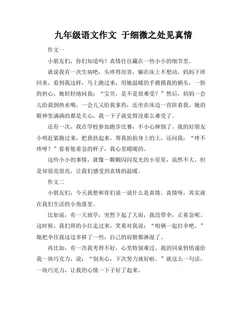 九年级语文作文 于细微之处见真情