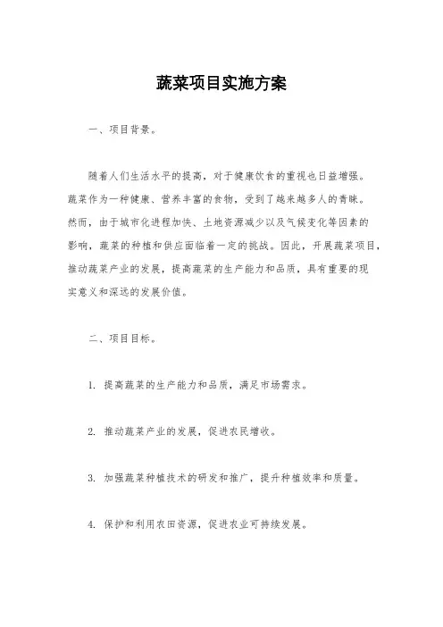 蔬菜项目实施方案