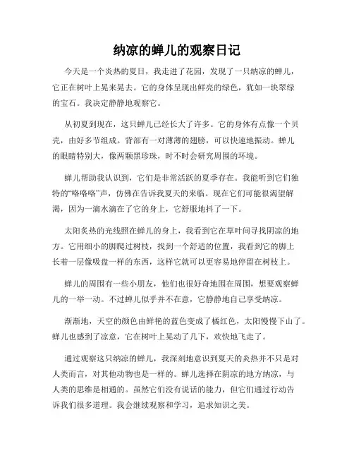 小学三年级作文纳凉的蝉儿的观察日记