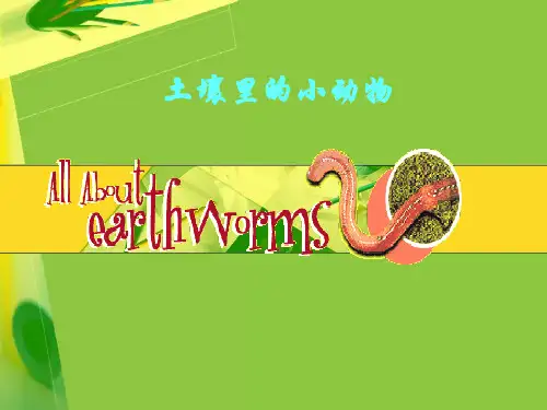 第1节土壤里的小动物