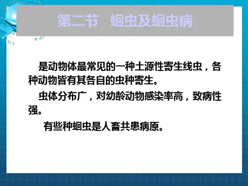 《蛔虫及蛔虫病》PPT课件