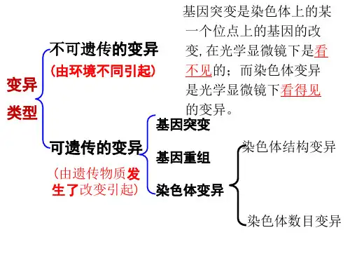 高中生物必修二 染色体变异 (2)