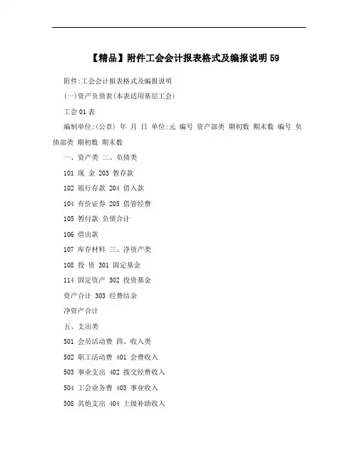 【精品】附件工会会计报表格式及编报说明59