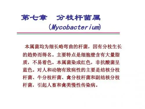 兽医微生物学《分枝杆菌属》课件
