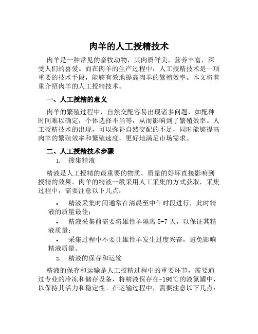 肉羊的人工授精技术