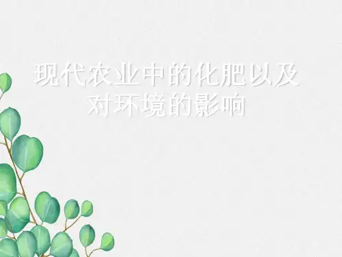 《肥料》课件 (公开课)2022年九年级化学精品PPT (2)