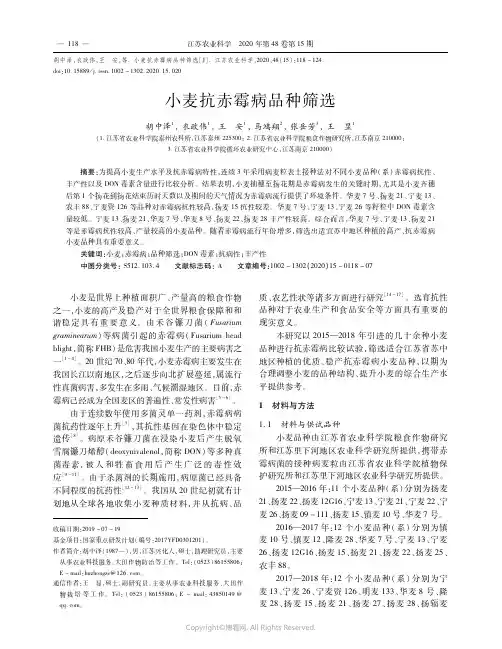 小麦抗赤霉病品种筛选