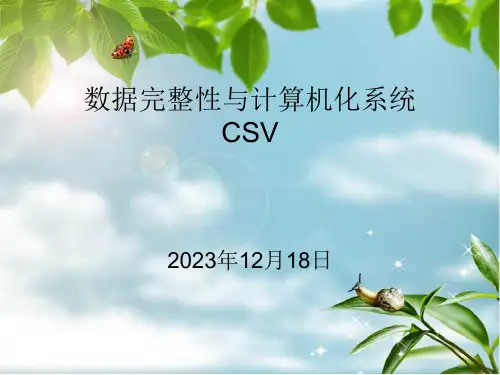 数据完整性与CSV验证