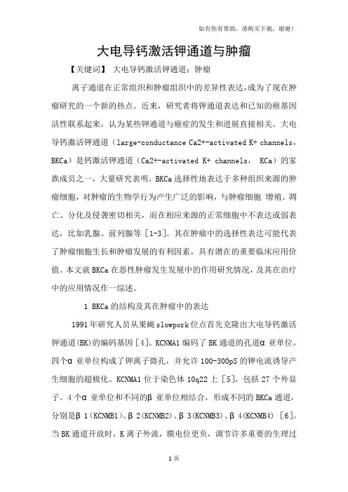 大电导钙激活钾通道与肿瘤