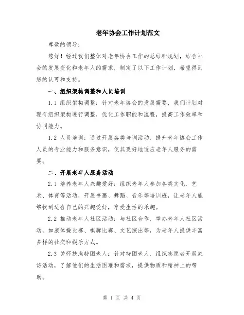 老年协会工作计划范文