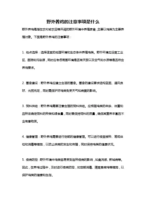 野外养鸡的注意事项是什么