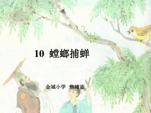 螳螂捕蝉