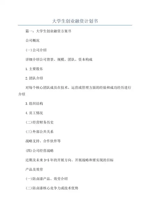 大学生创业融资计划书