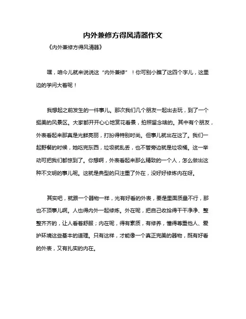 内外兼修方得风清器作文