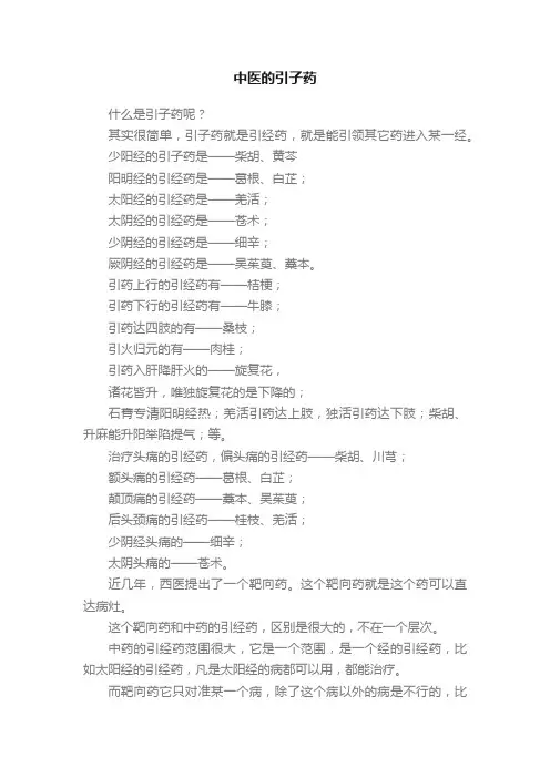 中医的引子药