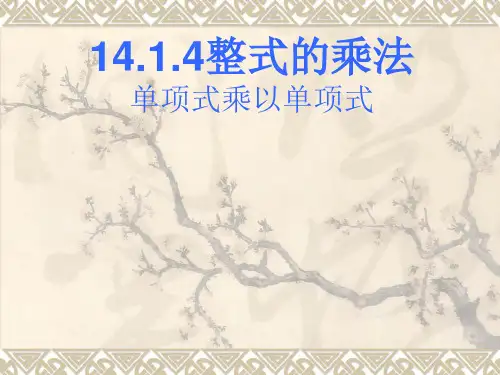人教版八年级上册 14.1.4 整式的乘法 课件(共18张PPT)