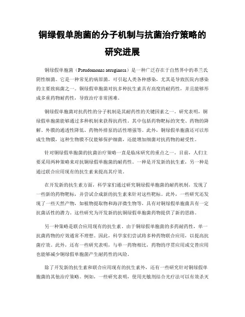 铜绿假单胞菌的分子机制与抗菌治疗策略的研究进展