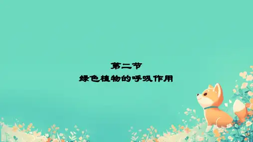 绿色植物的呼吸作用ppt课件