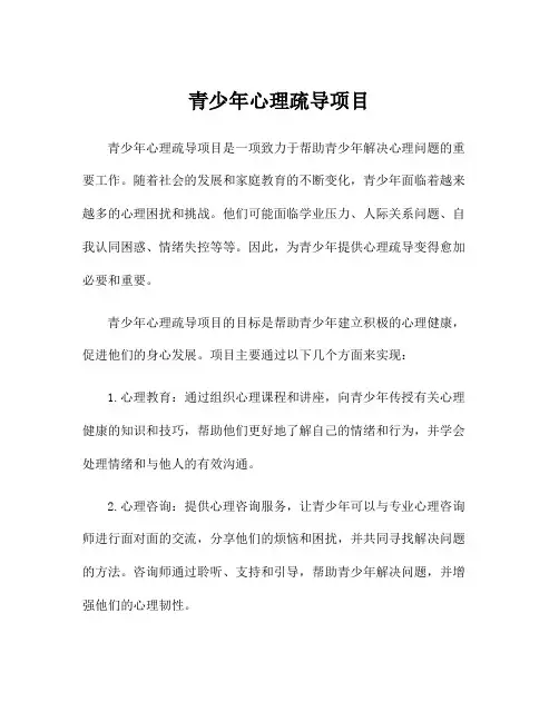 青少年心理疏导项目