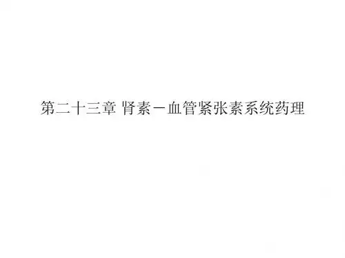 第23章血管紧张素抑制药