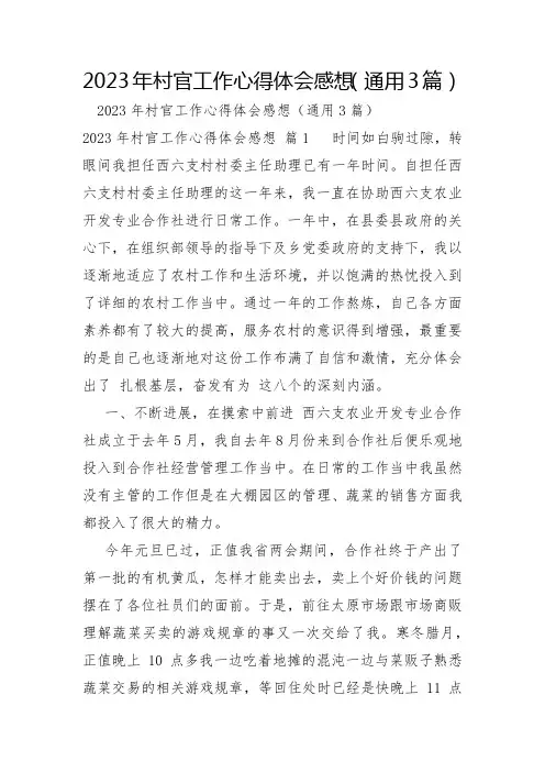 2023年村官工作心得体会感想3篇