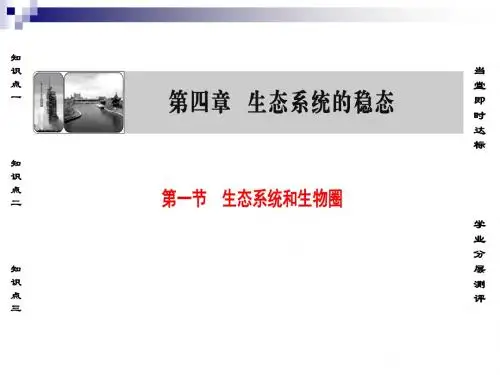 苏教版必修3 生态系统和生物圈 课件(52张)