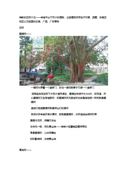 五树六花