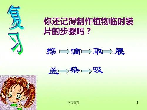 观察动物细胞课件学习资料.ppt
