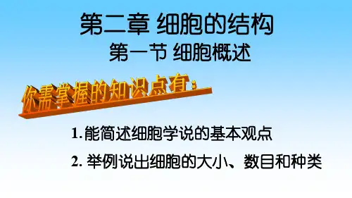 浙科版生物必修一高一细胞概述(共22张PPT)