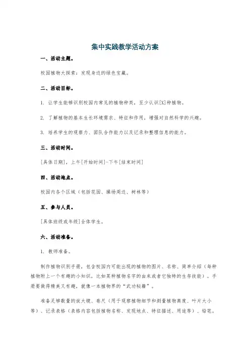 集中实践教学活动方案