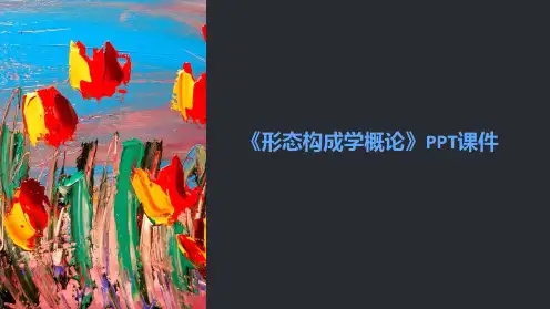 《形态构成学概论》课件