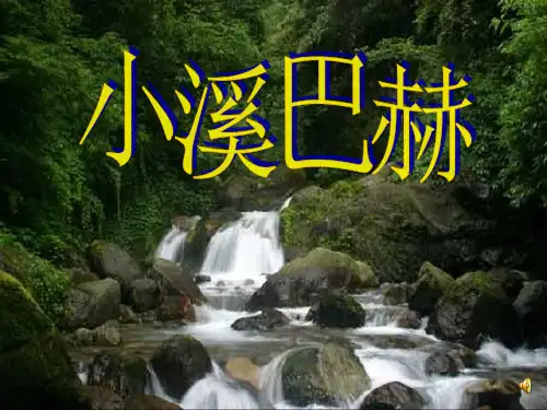 小溪巴赫