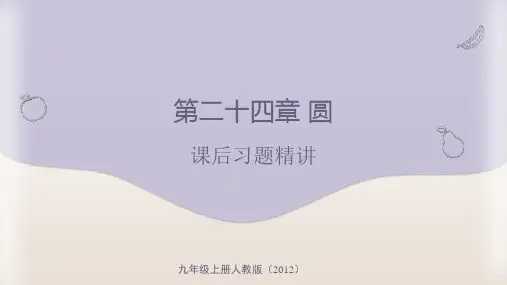 第二十四章 圆——九年级上册人教版(2012)数学课后习题精讲课件(共120张PPT).ppt