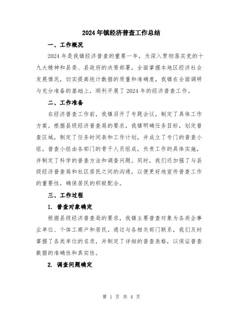 2024年镇经济普查工作总结
