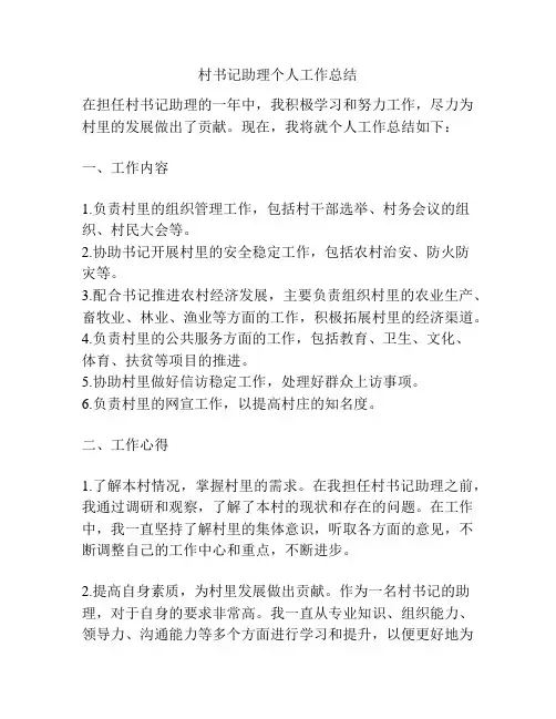 村书记助理个人工作总结