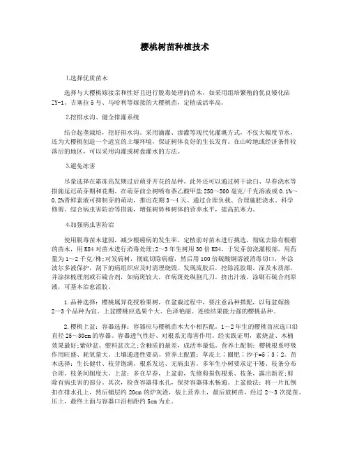 樱桃树苗种植技术