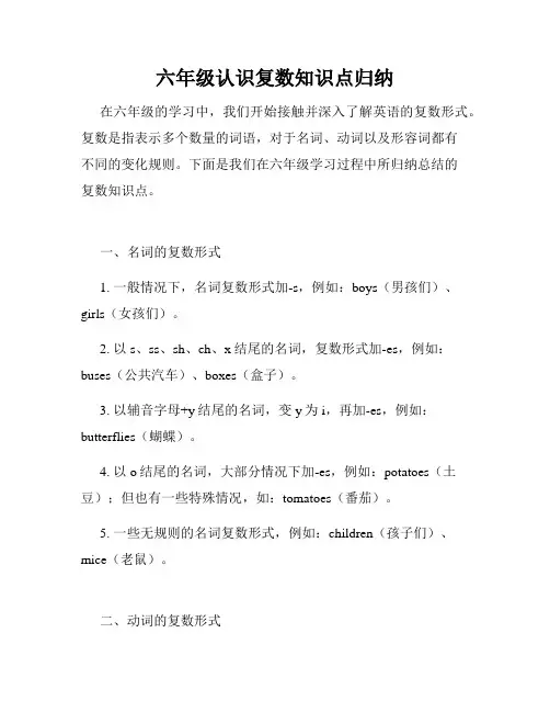 六年级认识复数知识点归纳