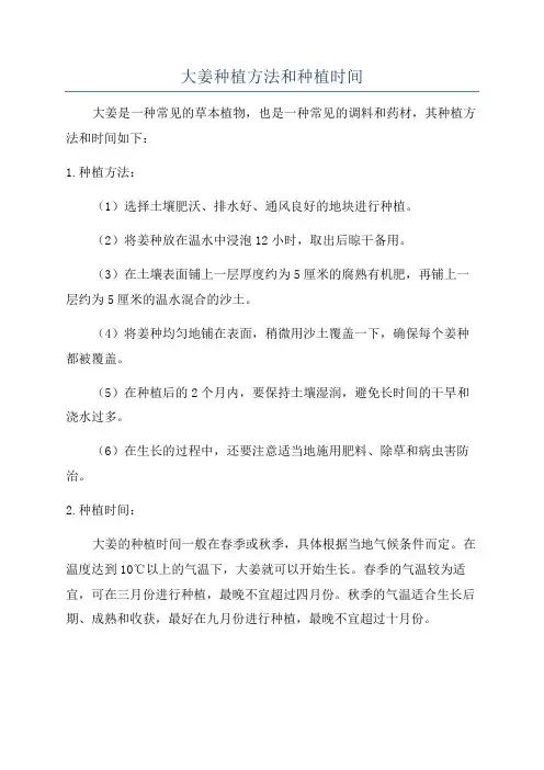 大姜种植方法和种植时间