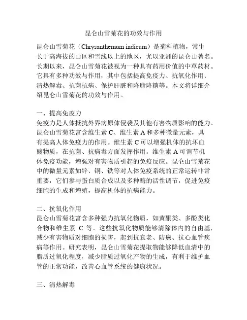 昆仑山雪菊花的功效与作用