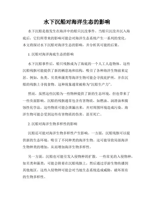 水下沉船对海洋生态的影响