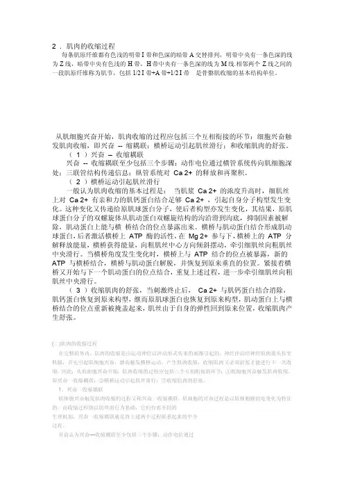 肌肉收缩——精选推荐