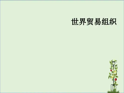 世界贸易组织PPT