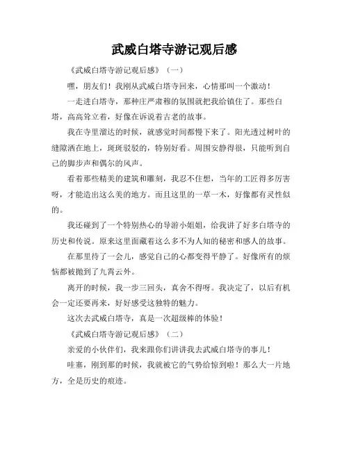 武威白塔寺游记观后感