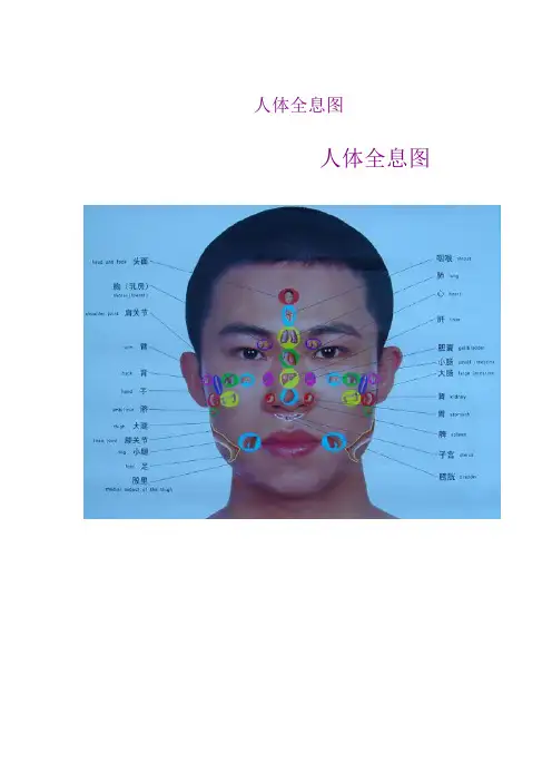 人体全息图