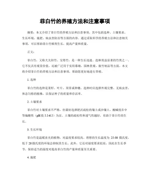 菲白竹的养殖方法和注意事项