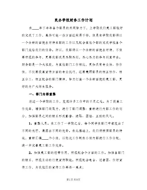 民办学校财务工作计划(5篇)